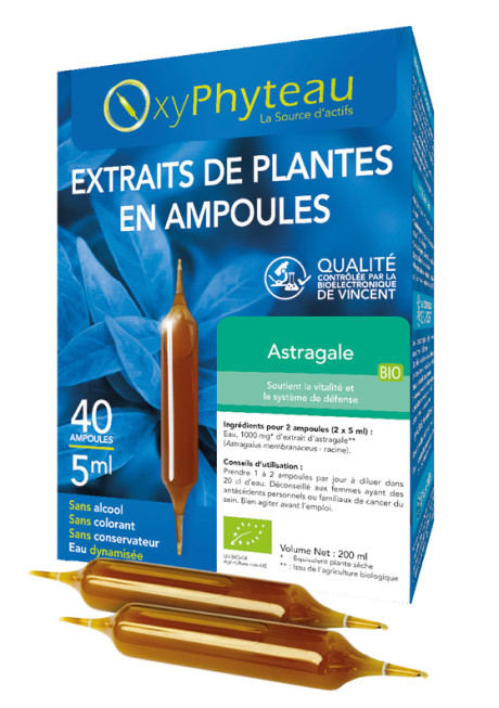 ASTRAGALE.jpg