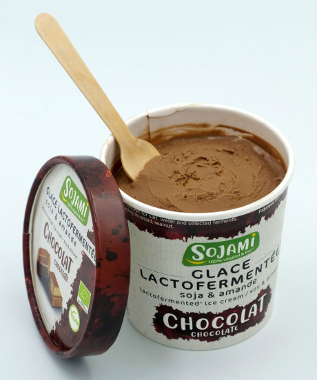 glace_lactofermentee_chocolat_01.jpg