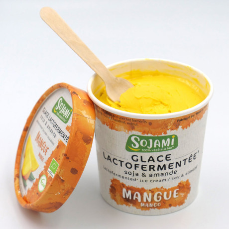 glace_lactofermentee_mangue_01.jpg