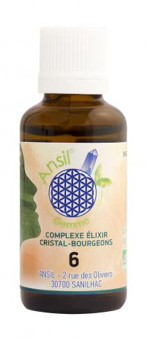 500_46983_06-ansil-complexe-cristal-bourgeons-flacon.jpg