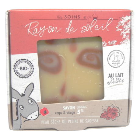 RDS devant retouché-Photoroom.png-Photoroom.png