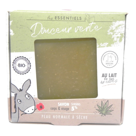 DV devant retouché-Photoroom.png-Photoroom.png