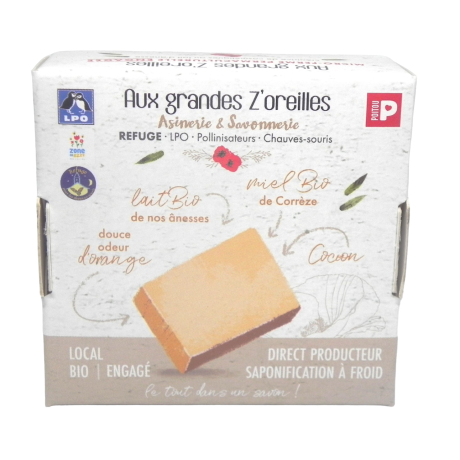 ZR derrière retouché-Photoroom.png-Photoroom.png