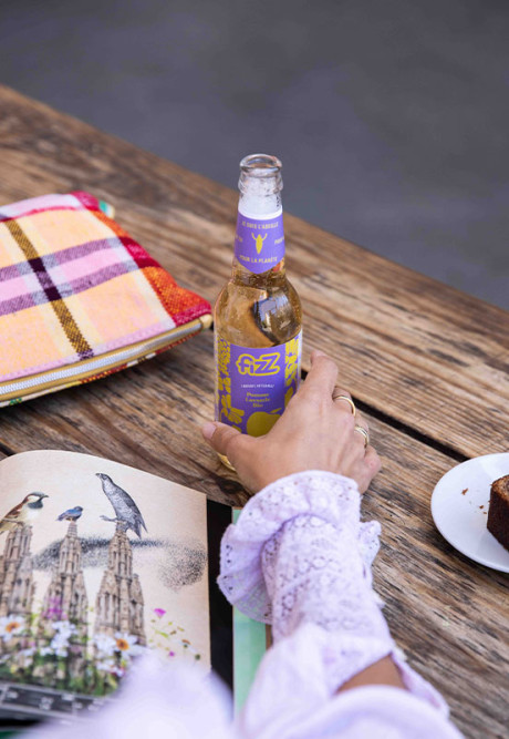 FIZZ POMME LAVANDE 33cl