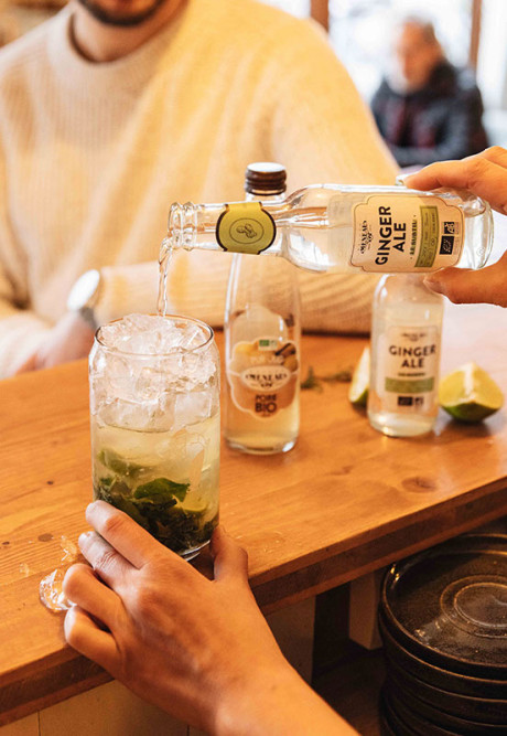 GINGER ALE BIO 20cl
