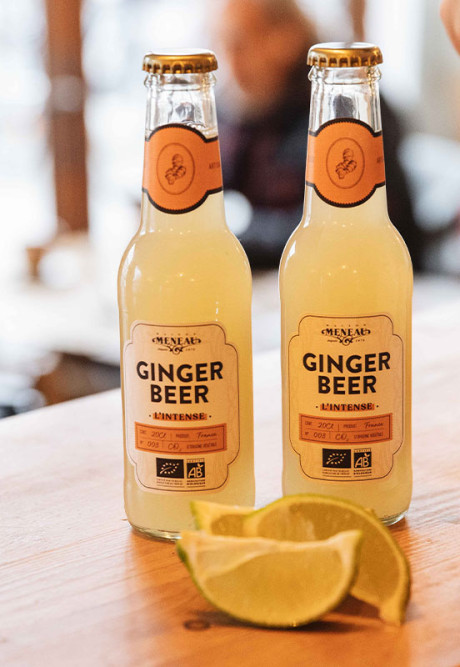 GINGER BEER BIO 20cl