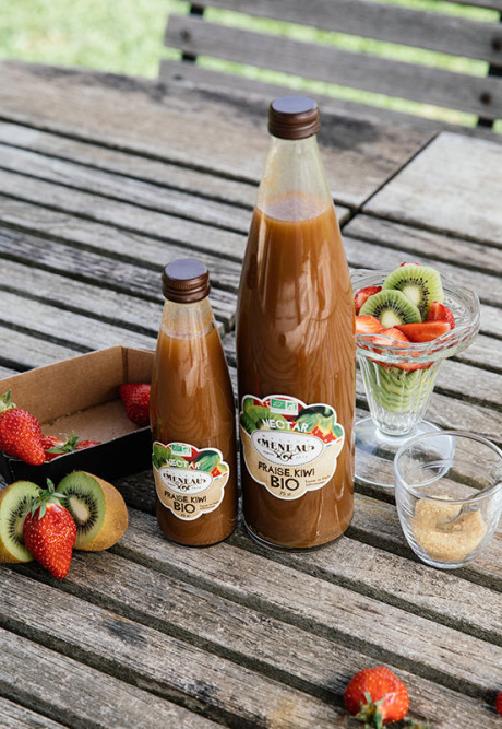 NECTAR FRAISE KIWI 25cl