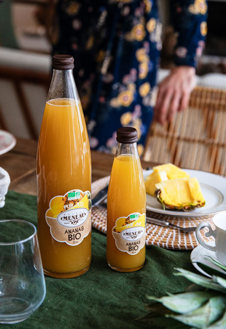 PUR JUS ANANAS 25cl