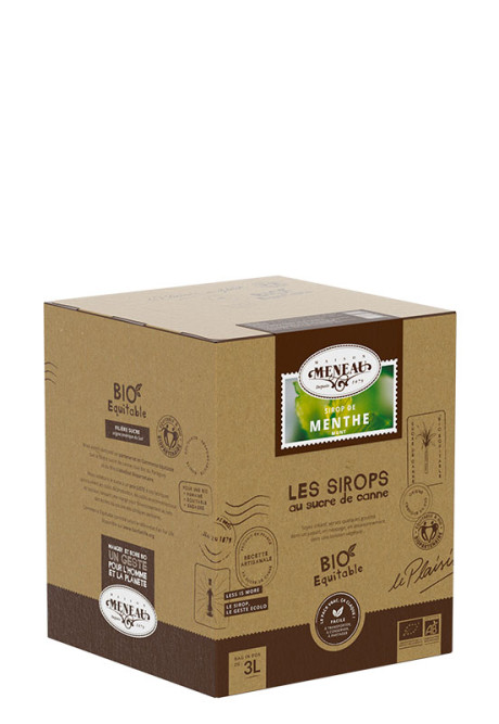 SIROP DE MENTHE 3L