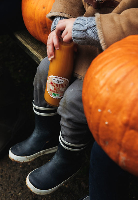 SMOOTHIE MANGUE PASSION 25cl