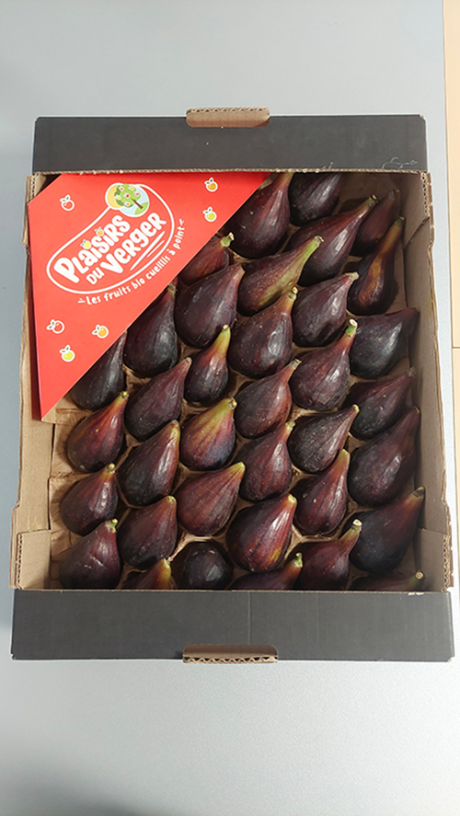 Figues Plaisirs du Verger®.png