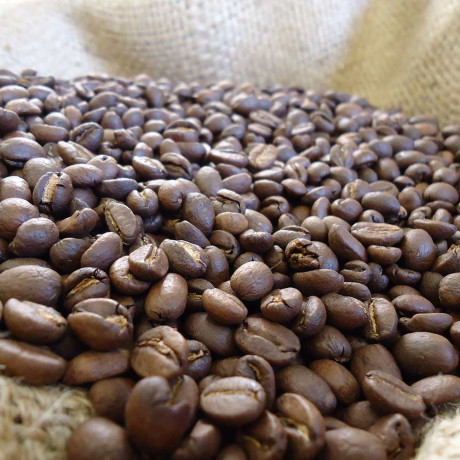 cafe-equateur-palanda-grains-bio.jpg