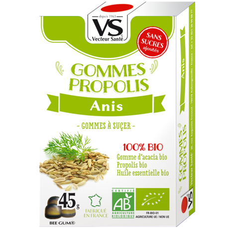 BOITES-GOMMES-ANIS-WEB-161011.png