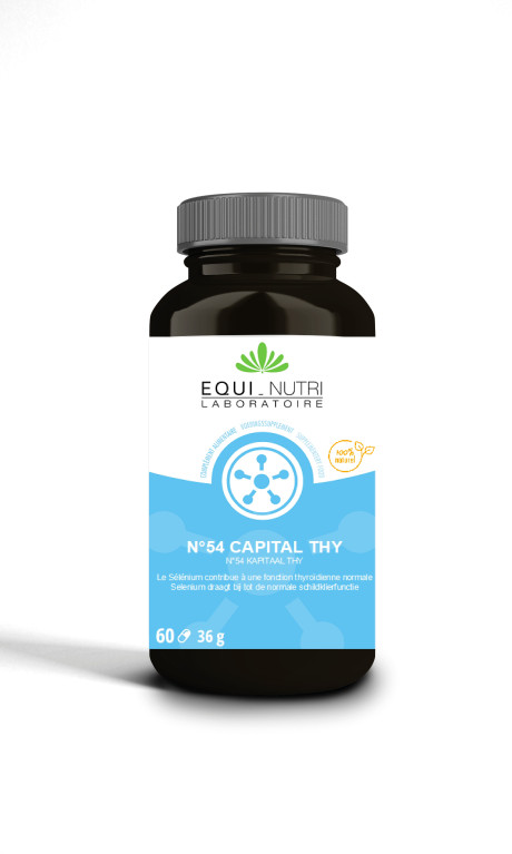 N°54 Capital Thy.jpg