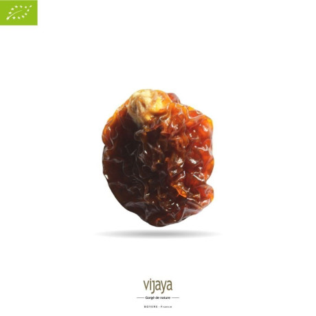 Coqueret du Pérou - Physalis - PEROU - 2x10 Kg - Bio* (*Certifié Bio par FR-BIO-10)