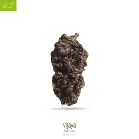 Mûre - Mulberry Noire Séchée - OUZBEKISTAN - 5 Kg - Bio* (*Certifié Bio par FR-BIO-10)