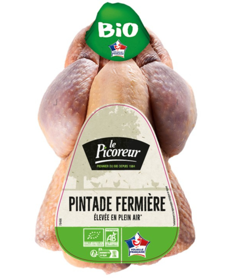 Design sans titre (5).png