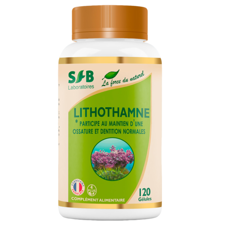 Lithothamne - Os & Dentition - MC.png