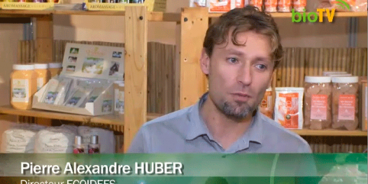 ECOIDÉES, des idées du monde entier