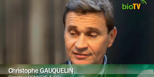 DONKEYS AND CO : Au bonheur des ânes