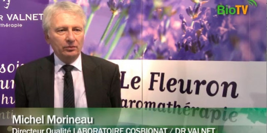 DOCTEUR VALNET - Michel Morineau