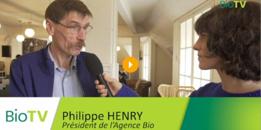 Nouveau Baromètre de l'Agence Bio : Focus sur les chiffres clé 2019