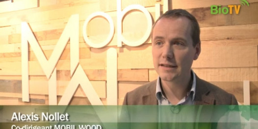 MOBIL WOOD - Alexis Nollet