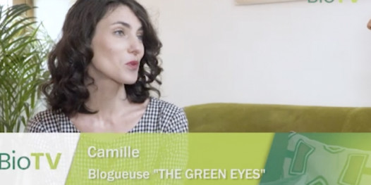 Mon beau Noël Bio... Rencontre avec Camille, blogueuse de "The Green Eyes"