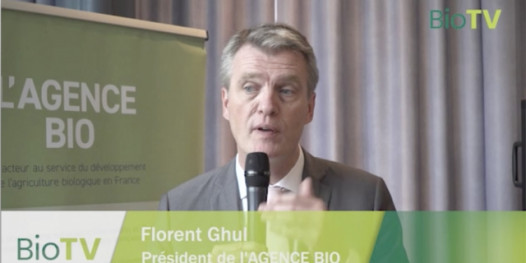 Du Bio en restauration collective