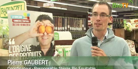 Quinzaine du commerce équitable : sensibiliser les consommateurs aux labels Bio Equitable et Bio Solidaire